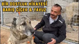 ВЕРНОСТЬ СОБАКИ КАНГАЛ - ДОКУМЕНТАЛЬНЫЙ ФИЛЬМ