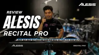 Tuts Piano Paling Responsive | Review ALESIS RECITAL PRO Digital Piano