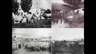 The Pictures of Glengallan