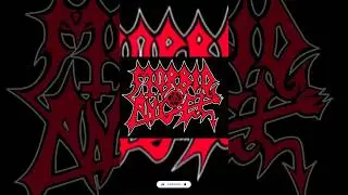 Top 5 death metal bands #top5 #deathmetal #cannibalcorpse #nile #suffocation #morbidangel #behemoth