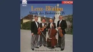 Beliebte Annen Polka, Op. 137