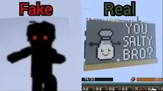 Fake or real mysticism blockman go
