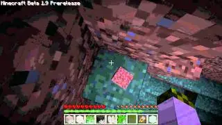 T for 2: minecraft extra