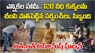 Shocking Animal Cruelty in Hanamkonda | 120 Street Dogs Allegedly Killed by Sarpanches