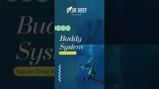 🌊 Safe Diving: Quick Prep Safety Tips! 🤿✨