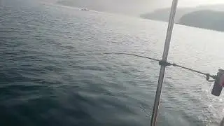 鯛ラバ釣行　　2026/01/17　　　三瓶湾