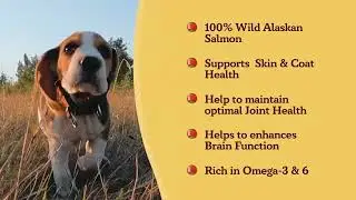 Natural Dog Company Wild Alaskan Salmon Oil Formula with Omega 3, Fish Oil for Dogs Supplement,