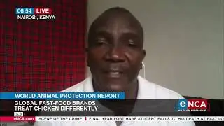 World Animal Protection Report | Chicken not up to standard