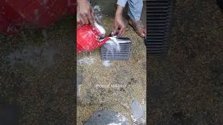 AC coil service #youtubeshorts #radiator #shortsfeed #shortvideo #shortvideo #shorts