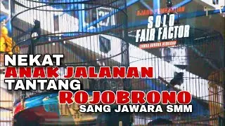 SOLO FAIR FACTOR || NEKAT MURAI BATU NGUKLUK TANTANG JAWARA SMM ROJOBRONO