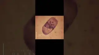 Microscopic Observation of Microorganism #shorts