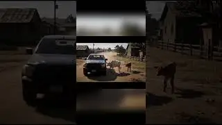 Kasihan Induk Sapi Tertabrak Mobil! 😰🥹 #cow #sapi #car #aivideo #fyp #shortvideo