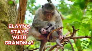 Ellen Trusts Grandma Elsa to Care for Baby Elayna, |smsrmedia1540