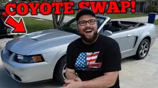 Buying a NASTY Coyote Swapped Terminator Cobra
