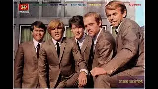 The Beach Boys - Pom Pom Play Girl