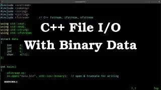 C++ Binary File I/O