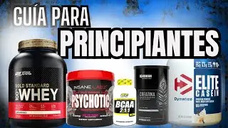 Los MEJORES Suplementos para PRINCIPIANTES