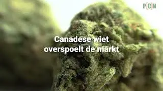 Het slotdebat, hoe nu verder?
