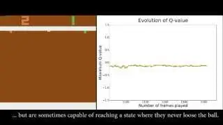 Multiagent DeepMind: Cooperative Mode