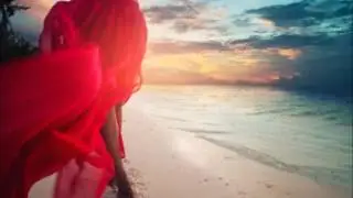 Jose Delgado ~ Freegull