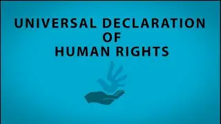 30 Rights in Motion - Article 6