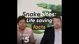 Ciencia en 5: Mordeduras de serpiente