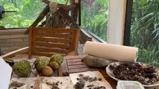 Biodynamic Natural Farming, Can I stay Biodynamic Certified?