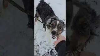 Snow Time😁😁