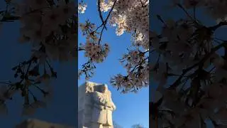 Add Washington, DC to your spring bucket list. ✅🌸 #DC #washingtondc