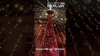 Which Christmas market is more budget-friendly? Let&rsquo;s compare Vienna and Budapest!