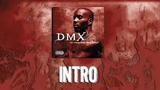 DMX - Intro Reaction