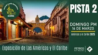PISTA 2  de la Exposici&oacute;n de Las Am&eacute;ricas y El Caribe - Domingo p.m
