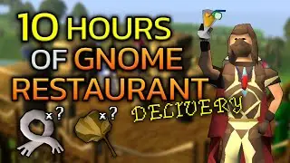 Я доставлял еду в течение 10 часов (ресторан Gnome)