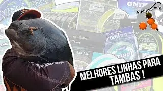 LINHAS PERFEITAS PARA PESCA DE TAMBAS EM PESQUEIRO! - Aperta O Play