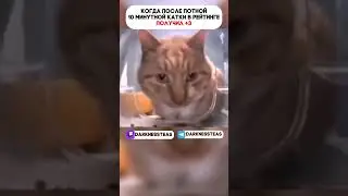 А если такую катку еще и СЛИТЬ, то это вообще конец  #superball #gameplay #memes