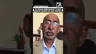 &lsquo;Trading class on streets&hellip;&rsquo; Ex- Indian ambassador to Iran Gaddam Dharmendra speaks on Iran protests
