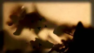 Mystical Communication Service  - MISS MILLER (HD Official Video)