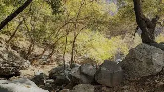 Hike and nature sounds in Darakeh #1, Tehran, Iran  درکه#