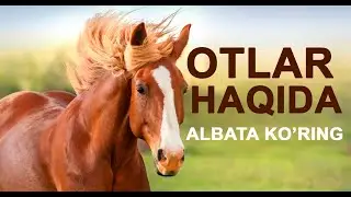 OTLAR HAQIDA - ABDULAZIZ DOMLA