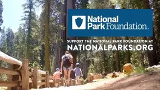 National Park Foundation by the Numbers: Impactful Narration by Anne Cloud