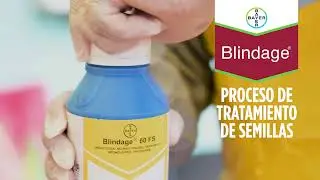 Tratamiento de Semilla Blindage&reg; | Agro Bayer Centroam&eacute;rica