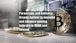 Param Labs and Animoca Brands partner to innovate and advance gaming