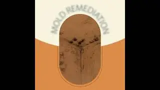 CleanPro Restoration, the Mold Remediation Experts.