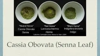 Cassia 101-The basics about Cassia Treatments for Hair