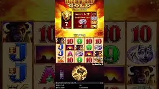 BUFFALOOOO!!! HUGE WIN on Buffalo Gold Slot! 🦬💰#slot #jackpot #buffalogold