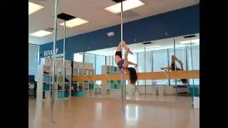 New Combo - Dangerous Bird/The Q to Janeiro