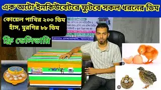 কোয়েল পাখির 🐥 ২০০ ডিম ও 🦆🐓 হাঁস মুরগির ৮৮ 🐣 ডিম ফোটানোর মেশিন | ৯৮% বাচ্চা ফোটে AC DC egg incubator 