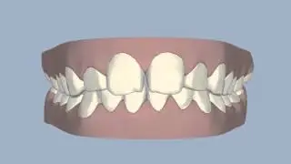 Ringwood Dental - Testimonials - 2