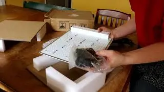 Indoor Vegetable Growing 1: Unpacking Bloom Plus Grow Light and Starting Lettuce Seeds