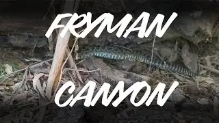 Hiking Fryman Canyon Part 2 - Rattle Snake, 